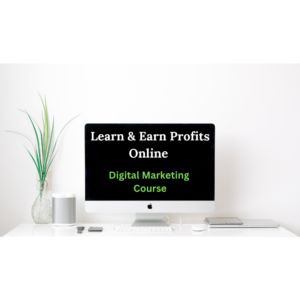 Learn and Earn Profits Digital Marketing Course